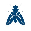 Insect Light Trap Icon