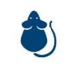 Rat Control Products Icon