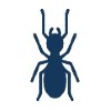 Termite Control Products Icon