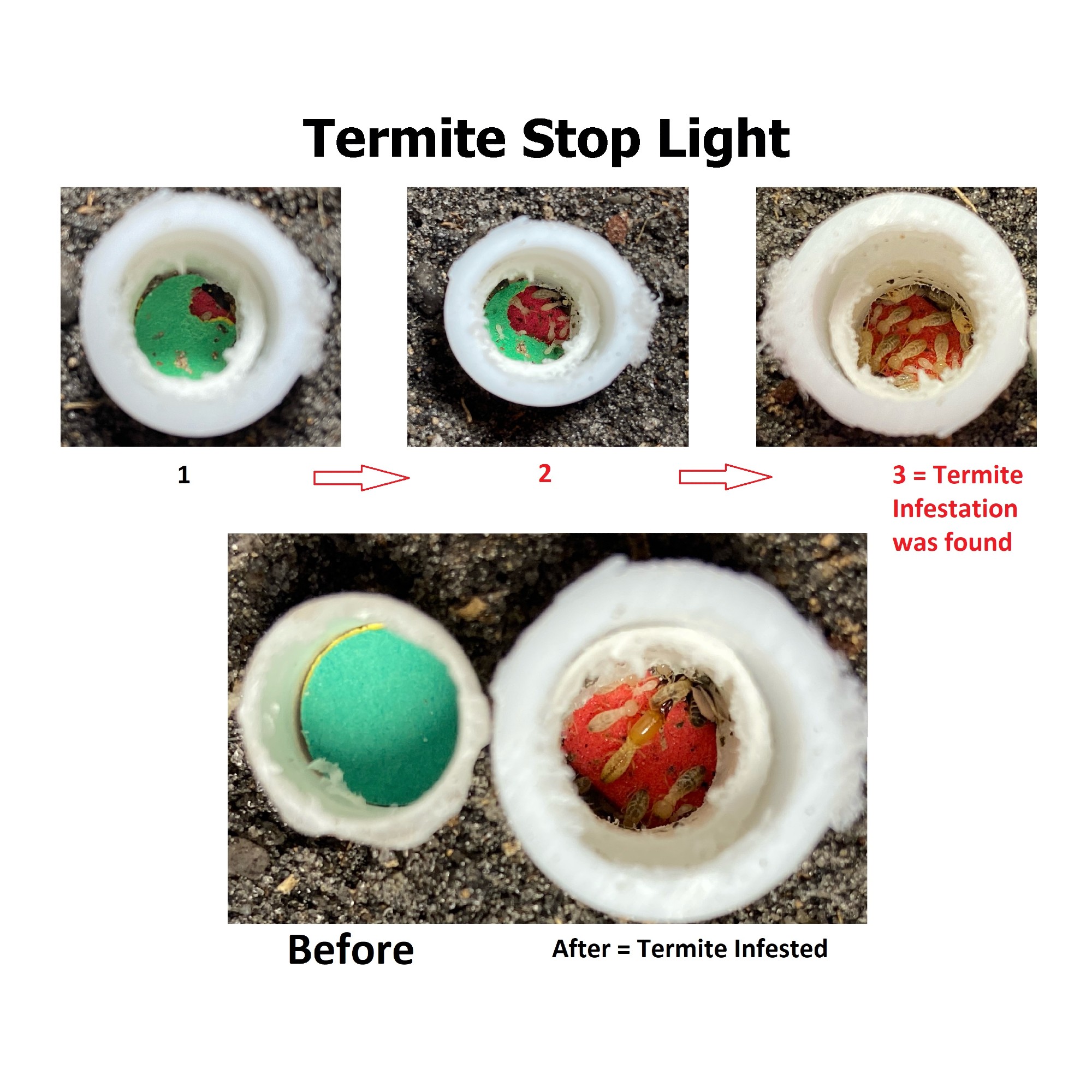 Termite Stop Lights