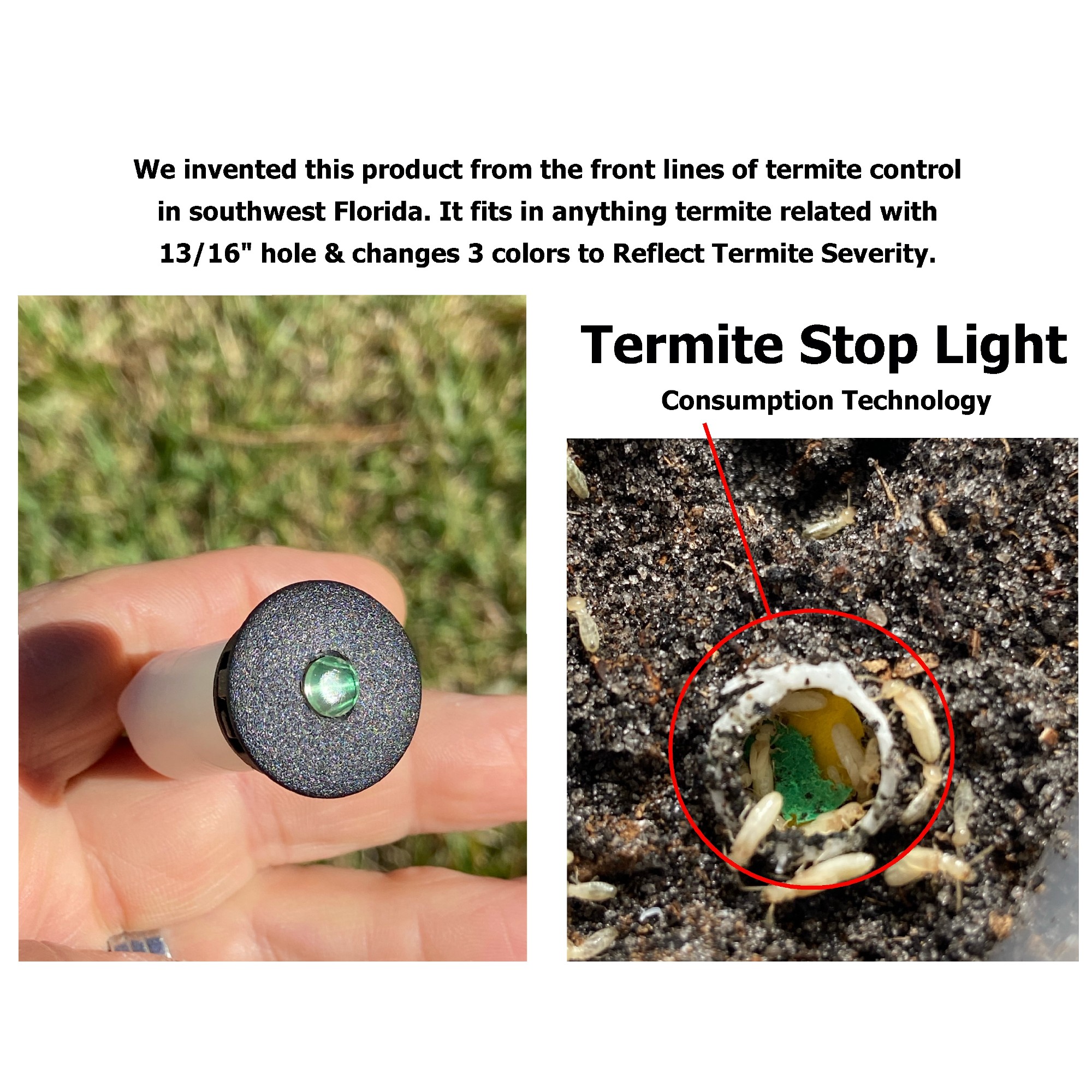 Termite Stop Lights